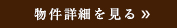 詳細を見る